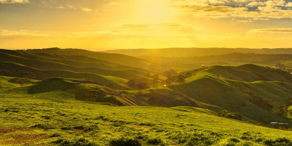 Rolling green hills at golden hour